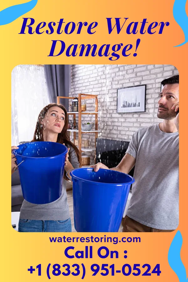 water restoration Expert Water Removal Pros Crenshaw